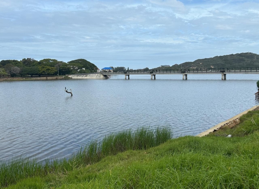 0 Bedroom Property for Sale in Island Cove Western Cape